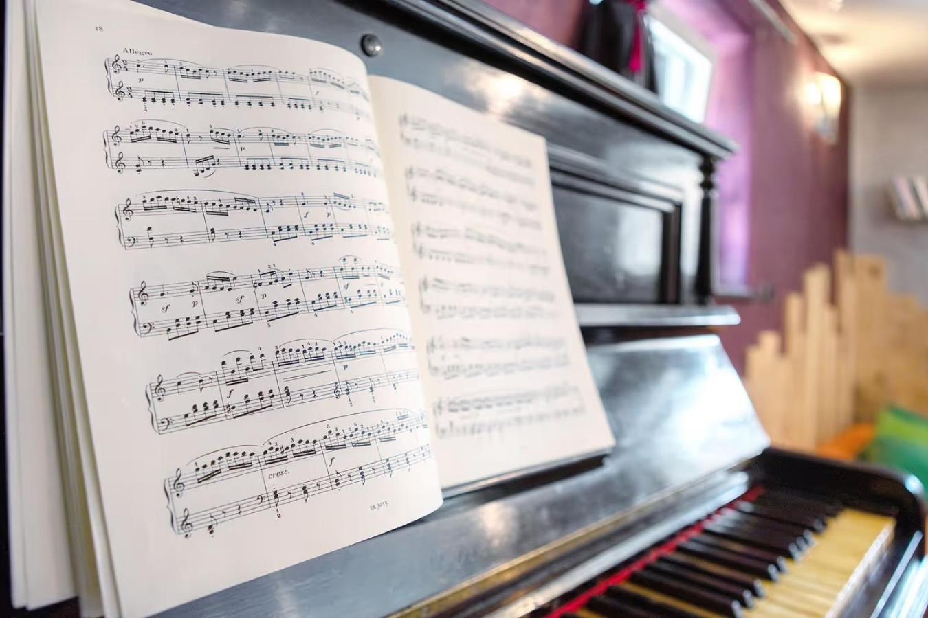 Maison De La Musique Конь Екстер'єр фото